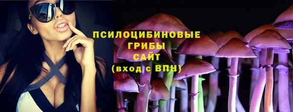 гашик Верхний Тагил