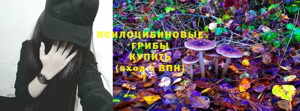 прущая мука Верея
