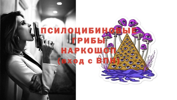 прущая мука Верея